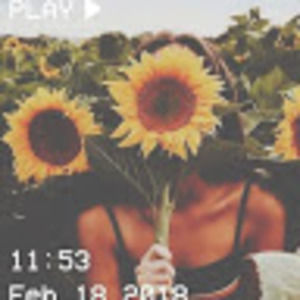 Meet your Posher, Iliana